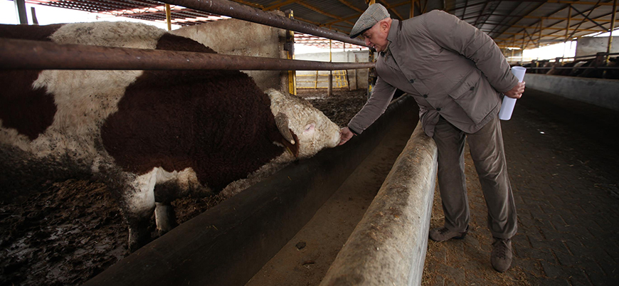 Türkiye Rusya'dan kırmızı et, süt ve deniz ürünleri ithal edecek